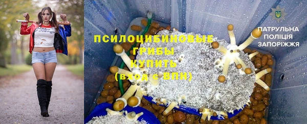 трава Осташков