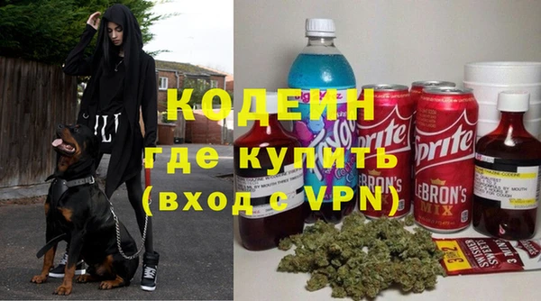 бошки Осинники